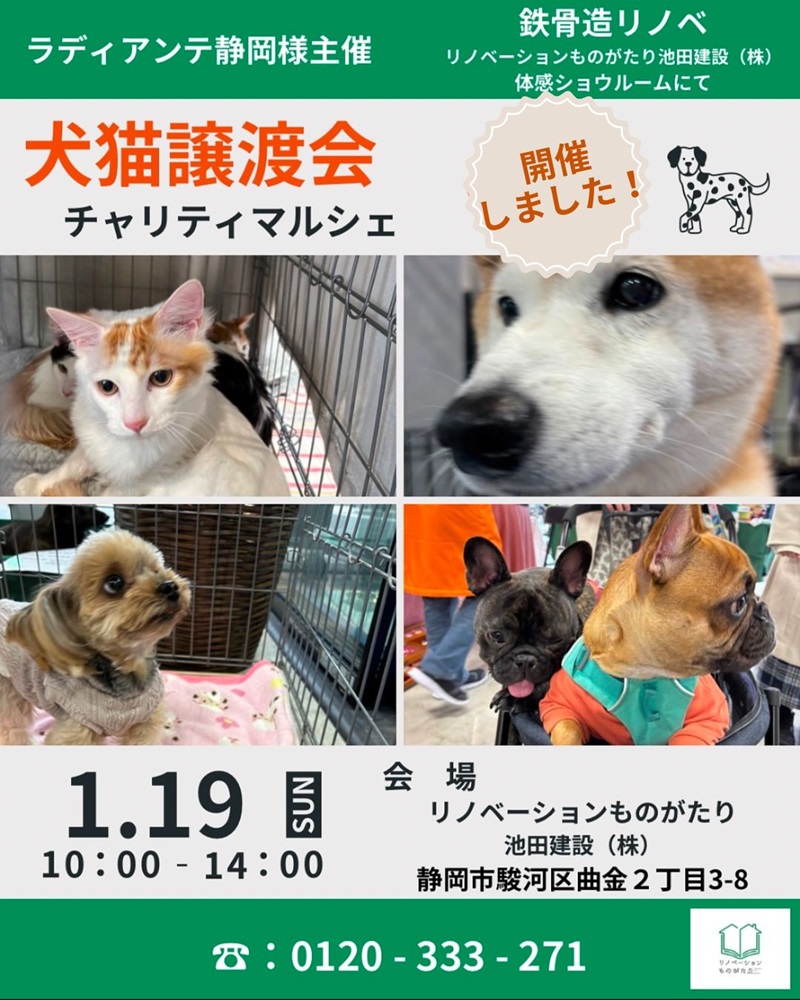 ラディアンテ静岡様主催犬猫譲渡会開催しました