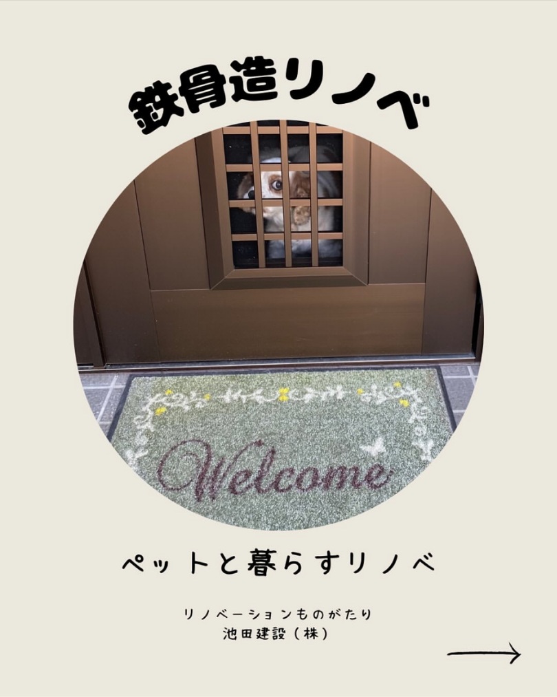 ペットと暮らすリノベーション