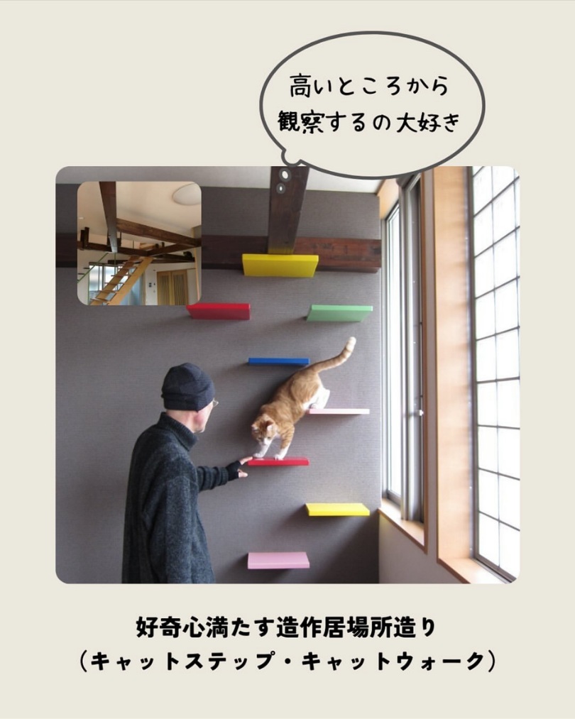 犬猫と暮らす家にリノベーション