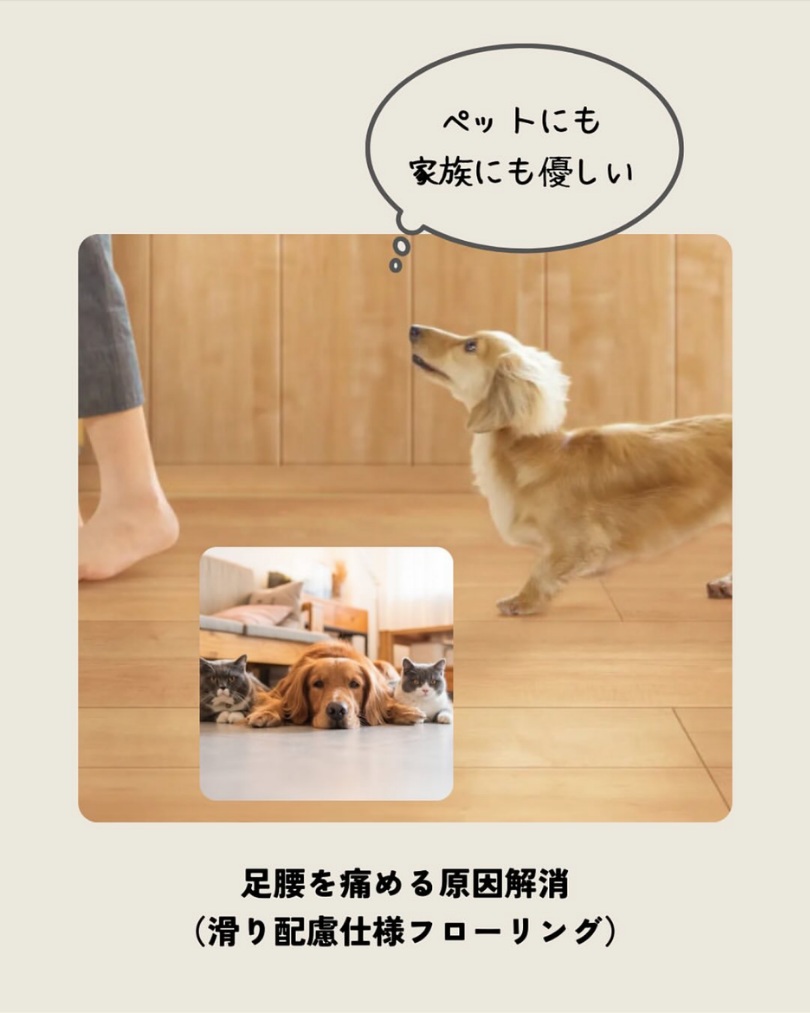 犬猫と暮らす家にリノベーション