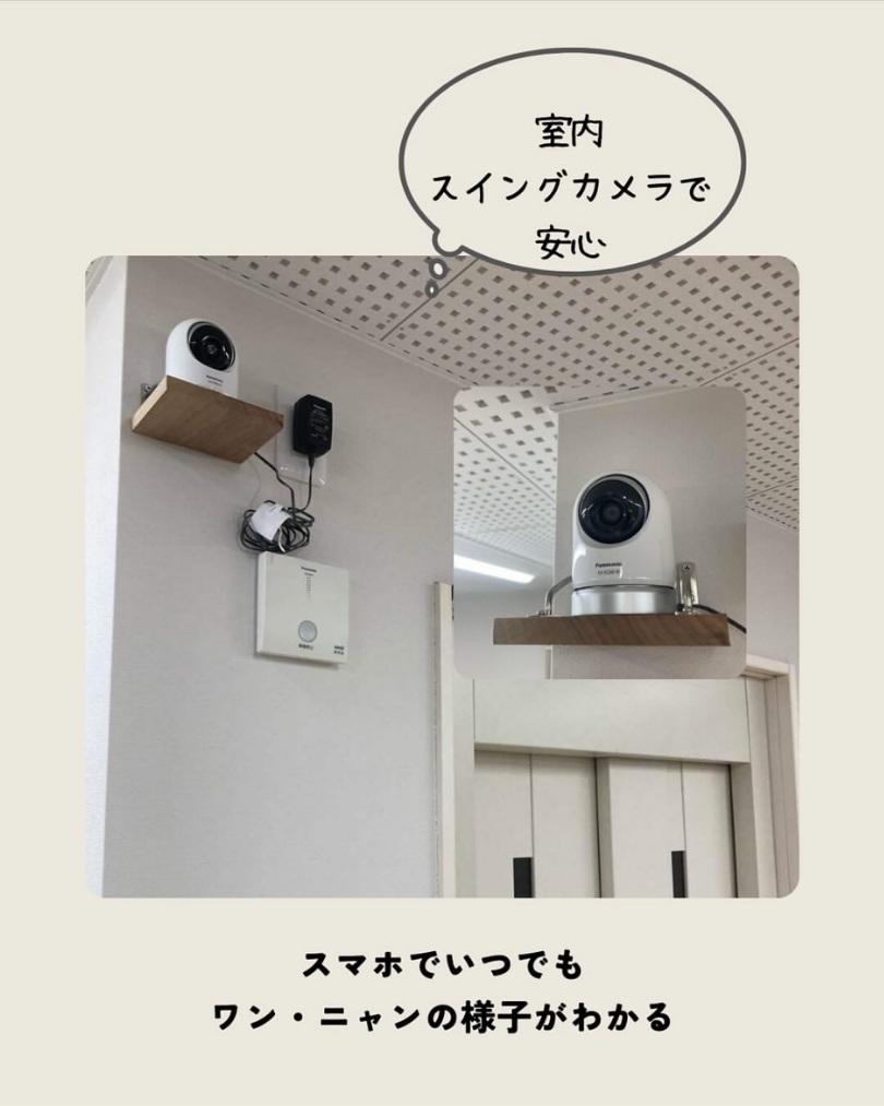 犬猫と暮らす家にリノベーション