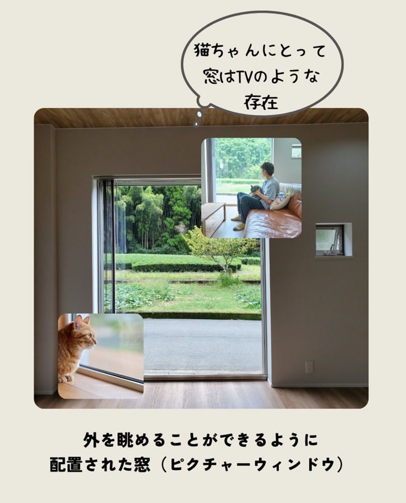 猫が外を眺めることができる大きなピクチャーウインドウ
