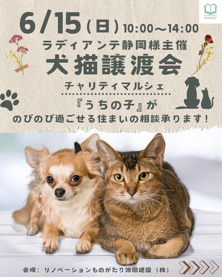 保護犬保護猫譲渡会静岡市6/15開催