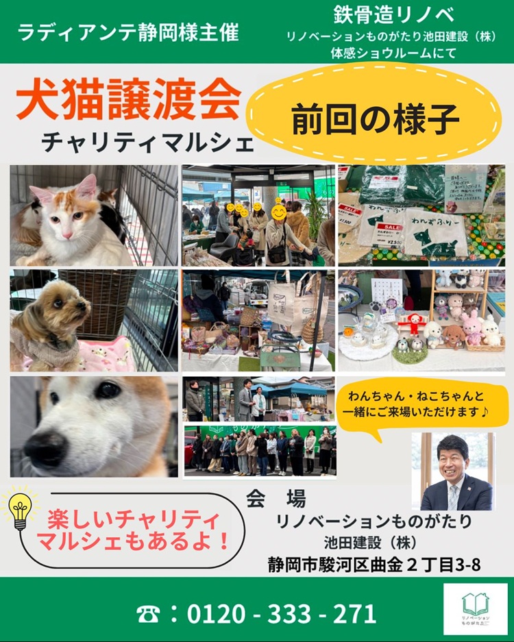 静岡市保護犬保護猫譲渡会前回の様子