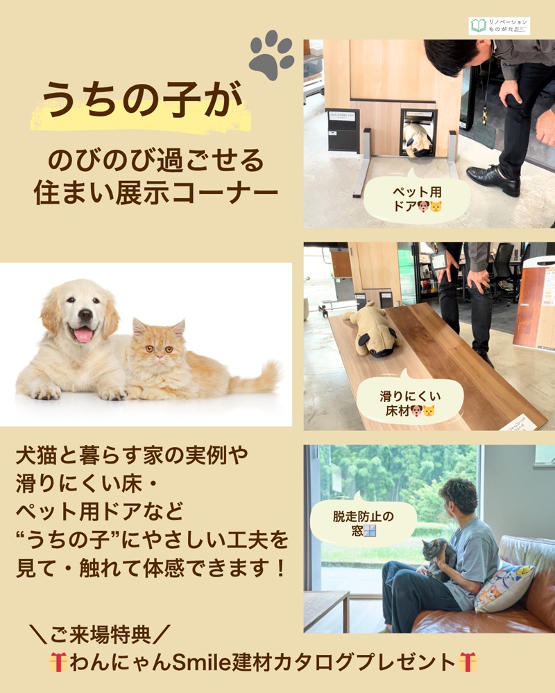 ペットと快適に暮らす工夫（ペットドアや滑りにくい床）展示