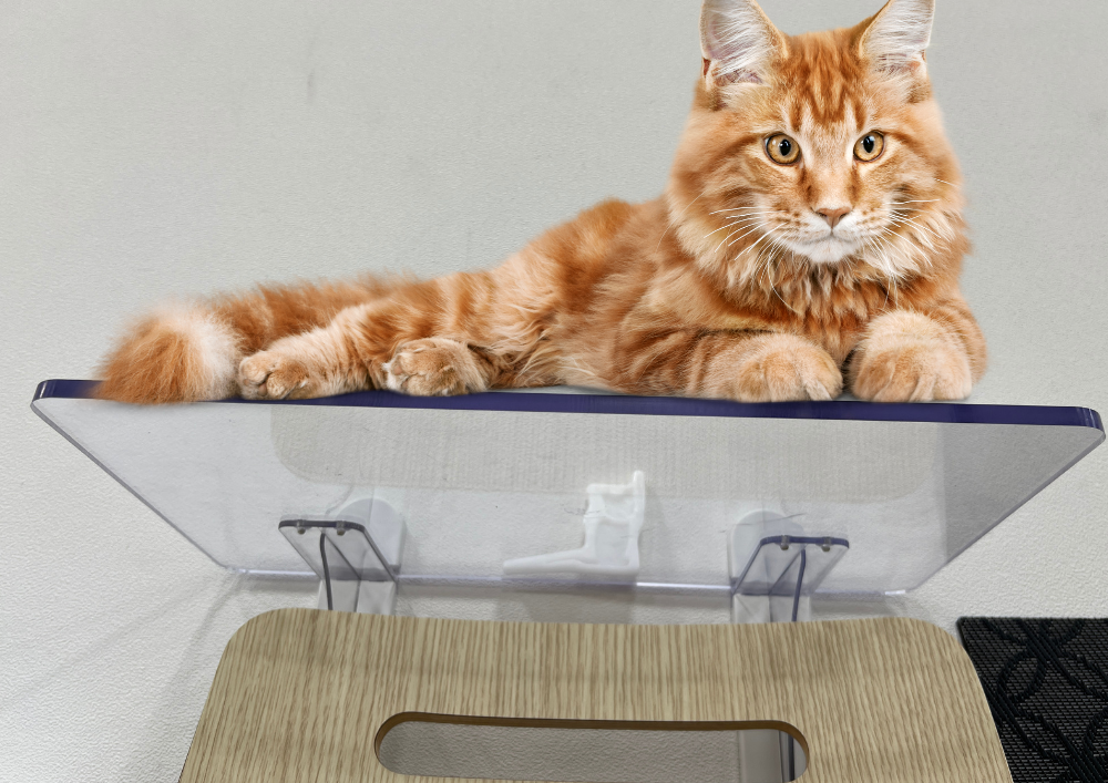 猫が寛げる肉球がみえるキャットウォーク