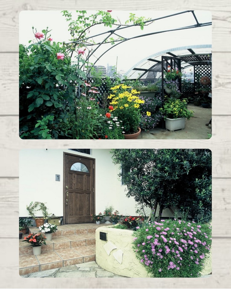 屋上に設置された花壇と玄関周りの花で彩られた鉄骨住宅のガーデニング施工例
