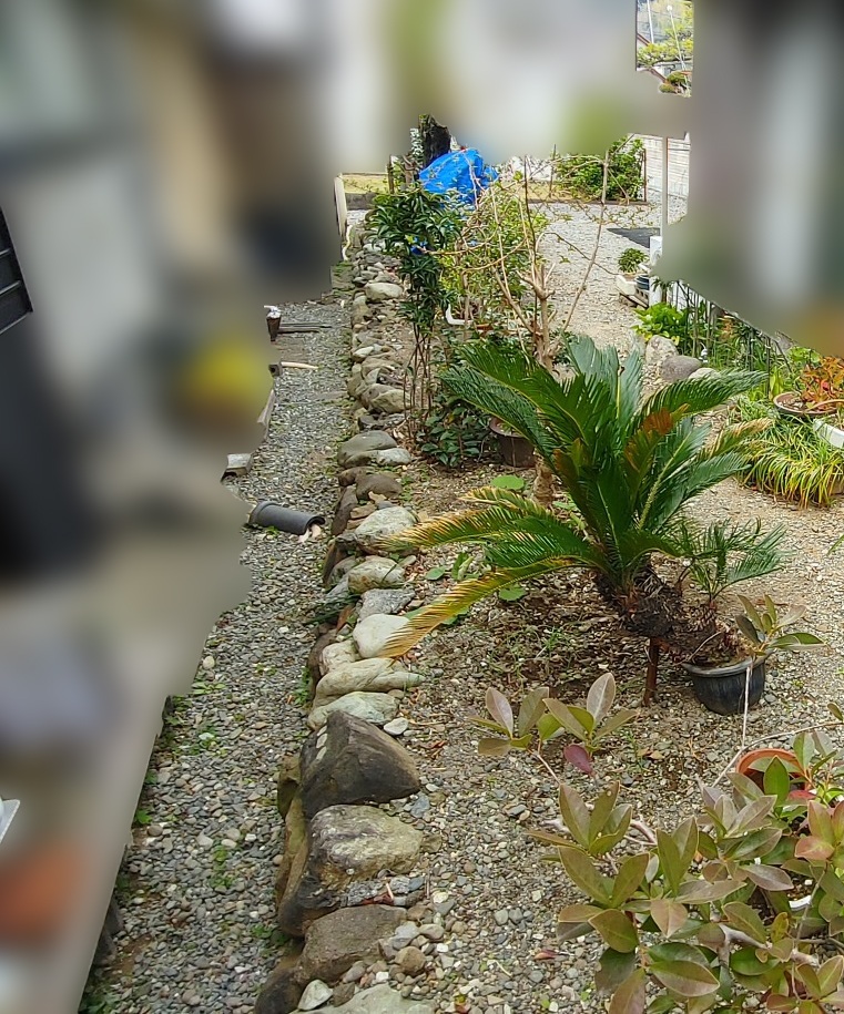 お隣との境を確認しているところ。杭がなかったため、新しく位置を決め直しました。