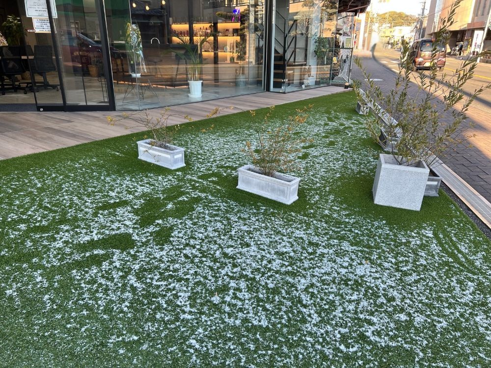 静岡市のショウルームに施工した人工芝の庭。雪がうっすら積もった冬の朝でも緑が映えている様子。