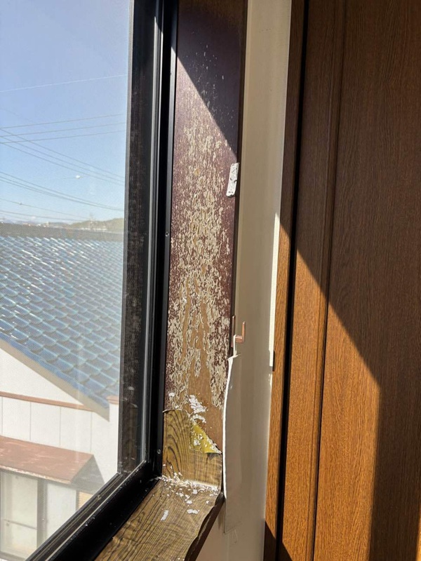 日差しの影響で、窓まわりの表面が少しずつ傷んできている様子